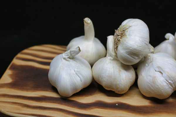 Vampire's Garden: Garlic, blog post by Aspasia S. Bissas